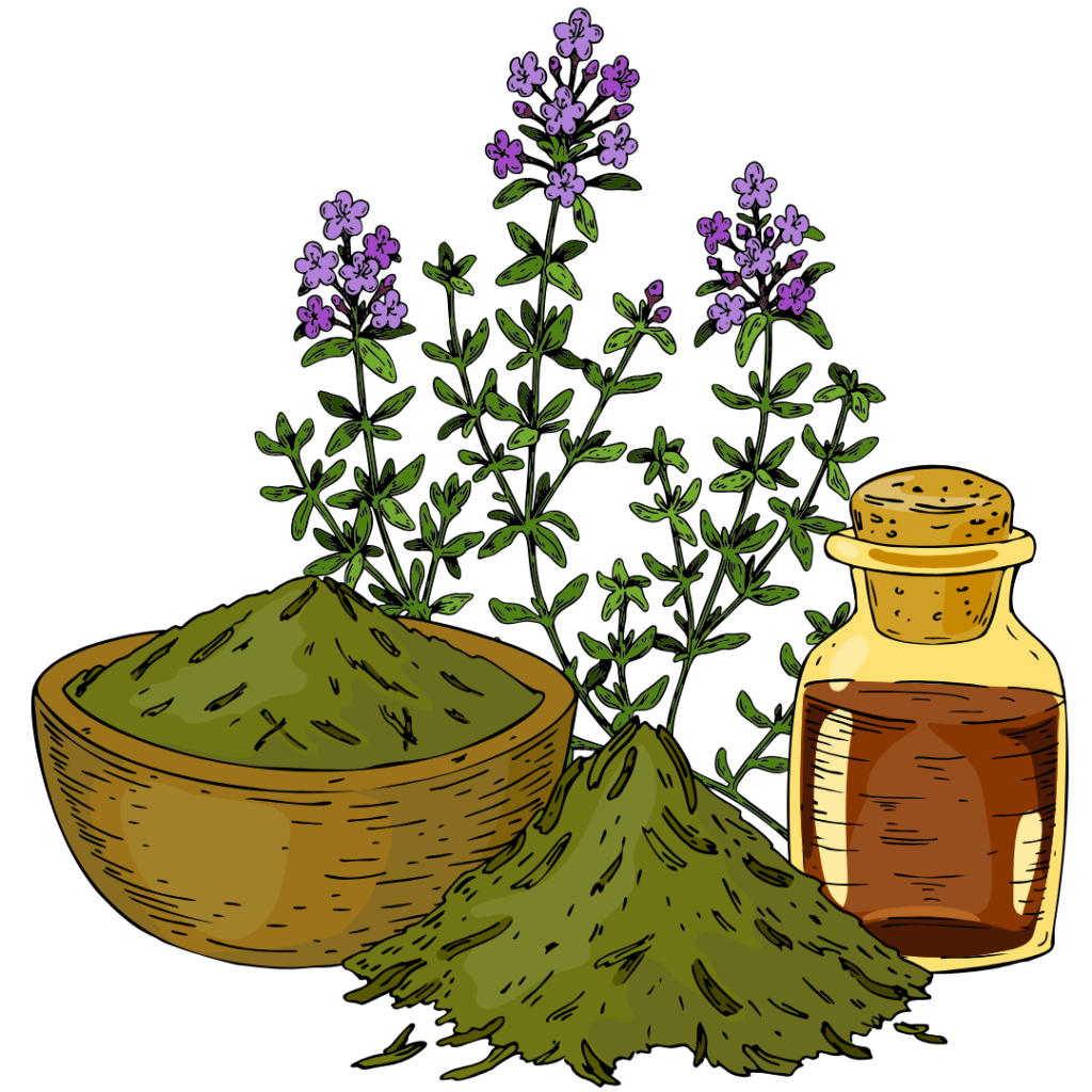 Liteeka herbals product category - Herbal Extracts