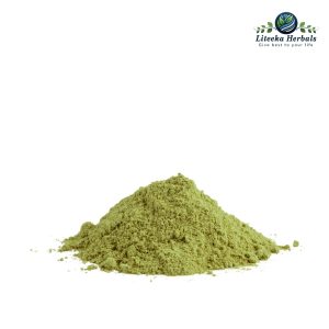 Aloevera-botanical_powders-Aloe Indica / Aloe Barbadensis Mill