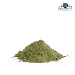 Apamarg-botanical_powders-Achyranthes Aspera Linn