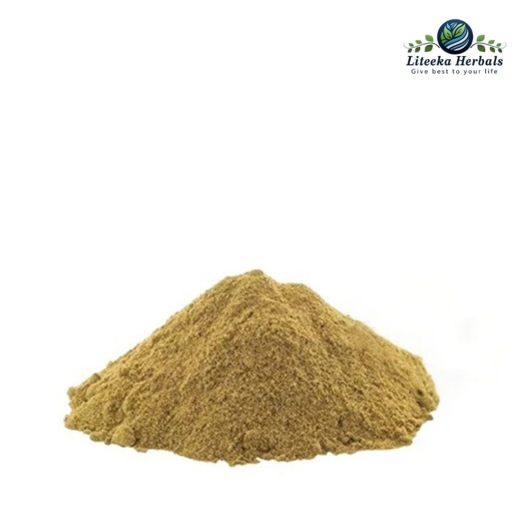 Bahera-botanical_powders-Terntinalia Belerica Roxb. (Fruit)