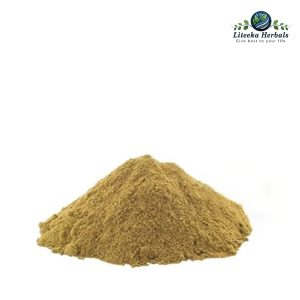 Bahera-botanical_powders-Terntinalia Belerica Roxb. (Fruit)