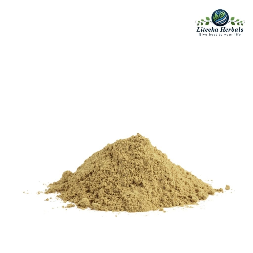 Dhania-botanical_powders-Coriandrum Sativum Linn