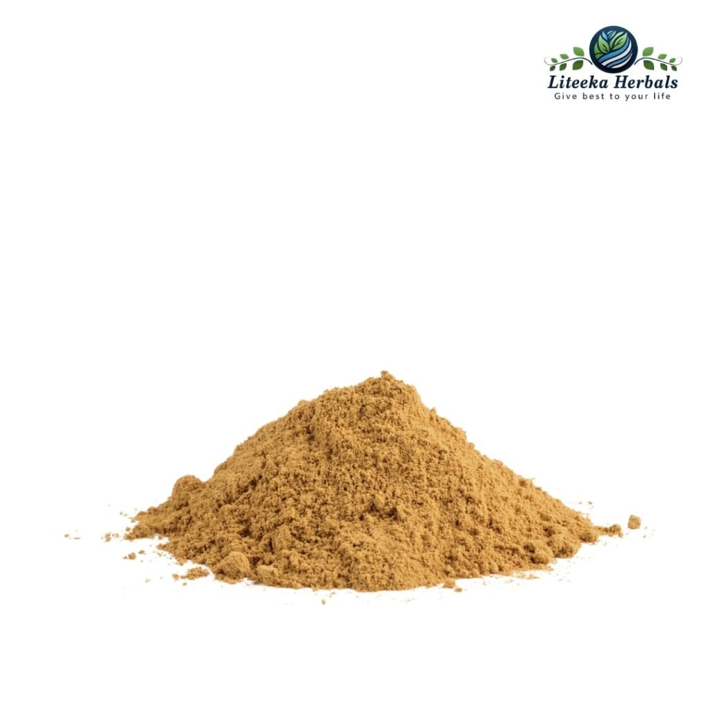 Dhatura Panchang-botanical_powders-Dhatura Alba / Dhatura Metal Linn