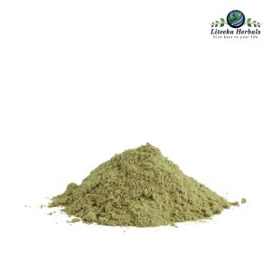 Gudmar-botanical_powders-Gymnema Sylvestre R.Br. (Leaf)