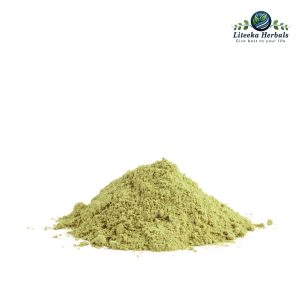 Kakdasinghi-botanical_powders-Pistacia Integerrima / Pistacia Chinensia Burgo