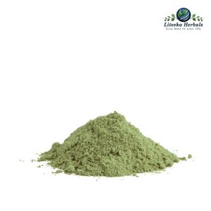 Kalmegh-botanical_powders-Andrographis Paniculata Burm F Nees