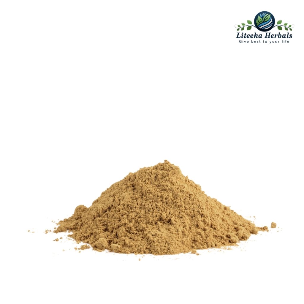 Soyabeen -botanical_powders-Glycine Max (L) Merr.